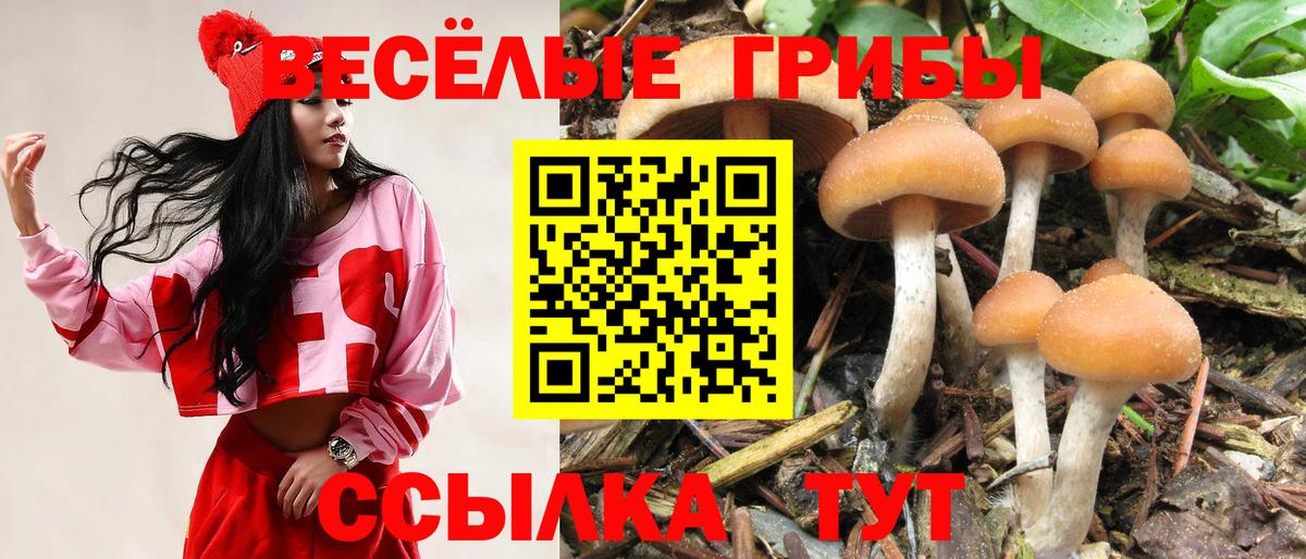 Псилоцибиновые грибы мицелий  Вход с VPN  Арзамас 